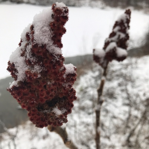 Meet your posher, Tiffany! - Picture 4 of 7