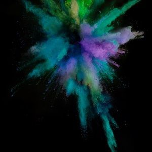 Meet your Posher, Gavin