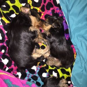 Meet your Posher, Leeann