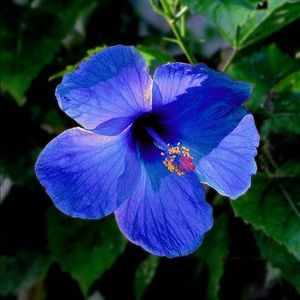 Meet your Posher, Hadley