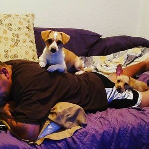 Meet your Posher, Frank