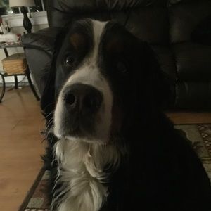 Meet your Posher, Gretchen