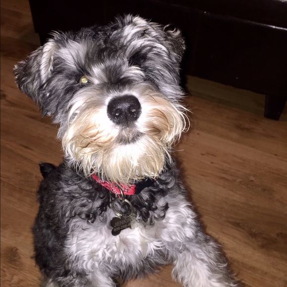 Meet your Posher, Lisa