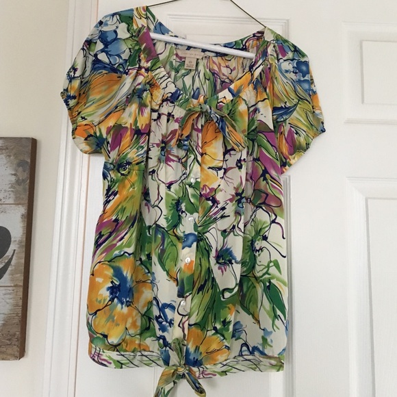Multi colored blouse.  Goes with everything!