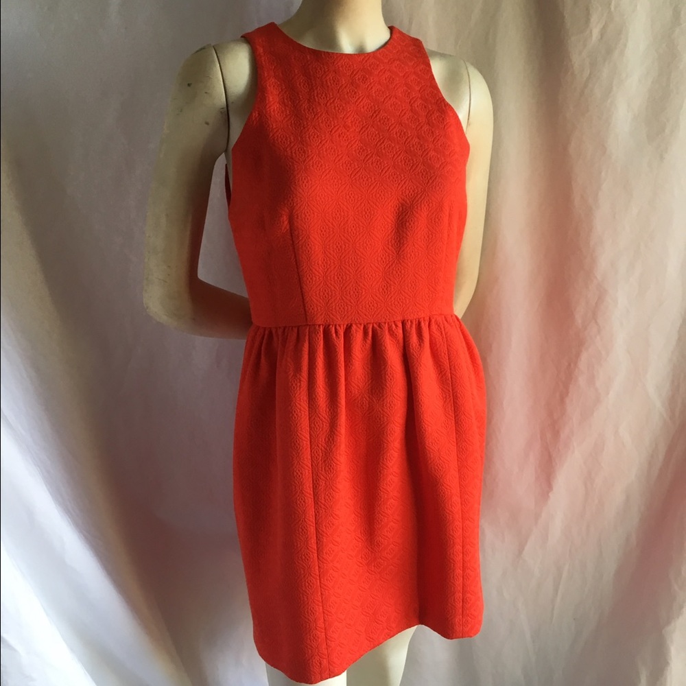 Cynthia Steffe 4 Orange Brocade Party Dress Cockta - Picture 8 of 8