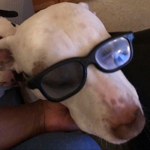 Meet your Posher, Sabrina