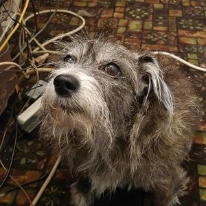 Meet your Posher, Doris