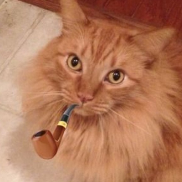 UPDATE: I AM BACK & SHIPPING TODAY, THANK YOU! 🎄 - Picture 4 of 4