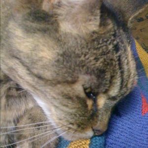 Meet your Posher, Trish