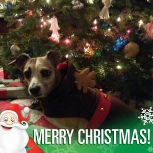 Meet your Posher, Lyssa