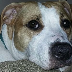 Meet your Posher, Steph