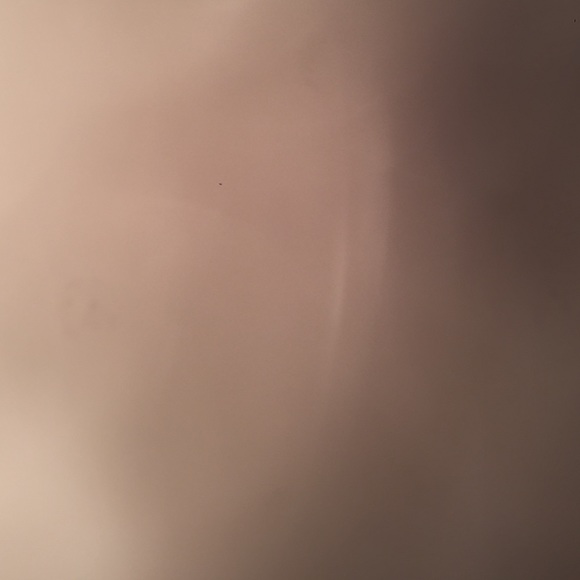 Meet your Posher, Isabella