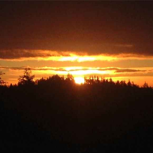 Meet your Posher, Dustin - Picture 1 of 1