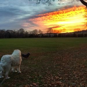 Meet your Posher, Richard