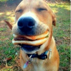 Meet your Posher, Robin