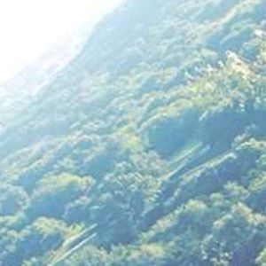 Meet your Posher, Alyssah