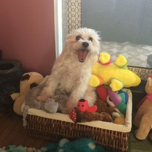 Meet your Posher, Jennifer