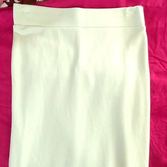 Mint Green Midi Skirt NWT - Picture 1 of 4