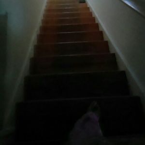 Meet your Posher, Lateacha