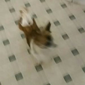 Meet your Posher, Elisa