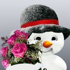 Meet your Posher, Arvydas