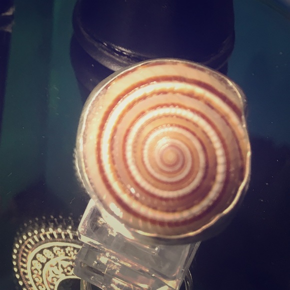 Silver and natural seashells - Picture 1 of 2