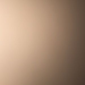 Meet your Posher, Maxine