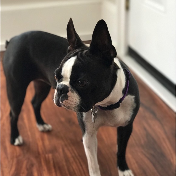 About your seller - Picture 8 of 9