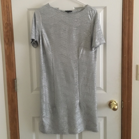 Silver sleeve dress