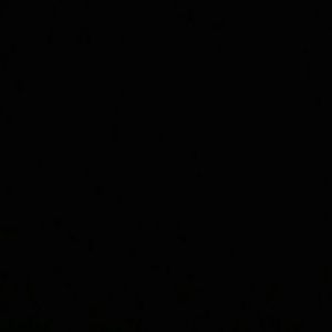 Meet your Posher, Jada