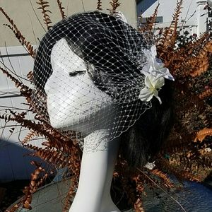Birdcage veil