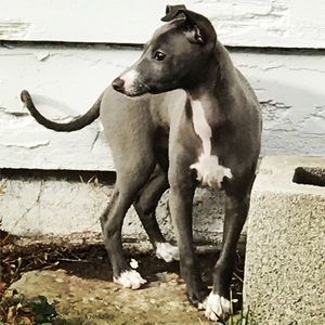 Meet your Posher, Jaime