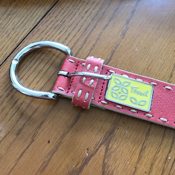 Fossil belt