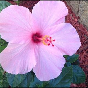 Meet your Posher, Payton