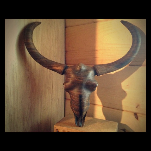 Western boho skull decor