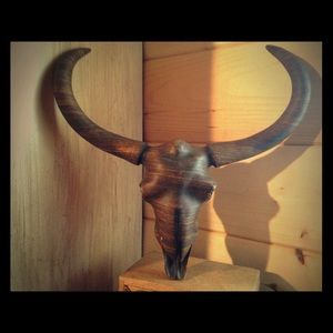 Western boho skull decor