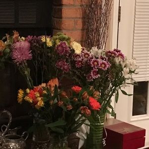 Meet your Posher, Natasja