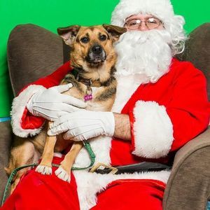 Meet your Posher, Dee