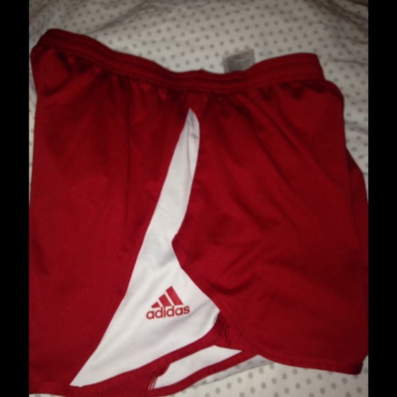 Adidas Men's Running shorts with liner