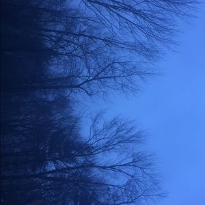 Meet your Posher, Angell