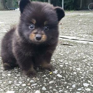 Meet your Posher, Erica