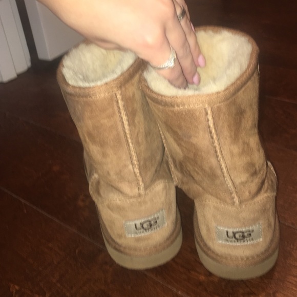 chesnut short uggs chesnut short uggs