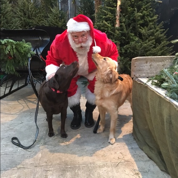 Meet your Posher, Devin - Picture 1 of 1