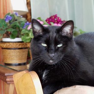 Meet your Posher, Lisa