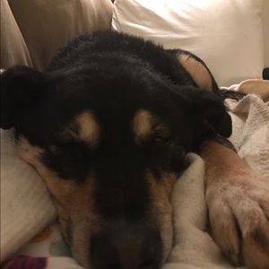 Meet your Posher, Kate