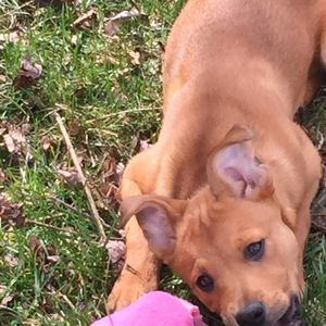 Meet your Posher, Anna