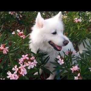 Meet your Posher, Kiara