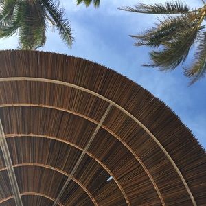 Meet your Posher, Nina