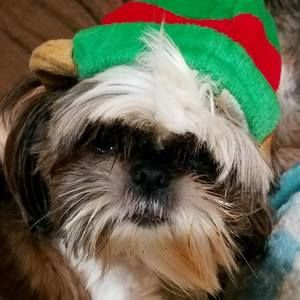 Meet your Posher, Jomarie