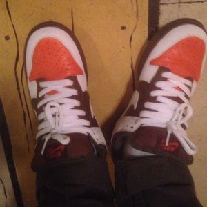Nike SB low dunks